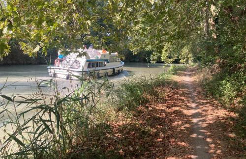 Maison DELMAS, l'Oustal du Recantu - Foto 50