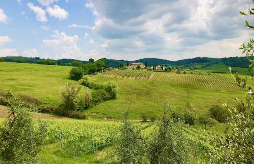 Vittoria Chianti Vacations - Foto 75