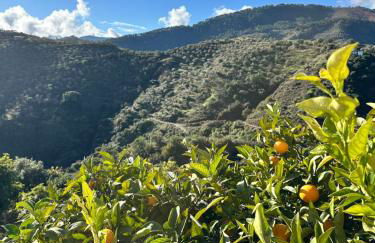 Cortijo Chupito - Foto 24