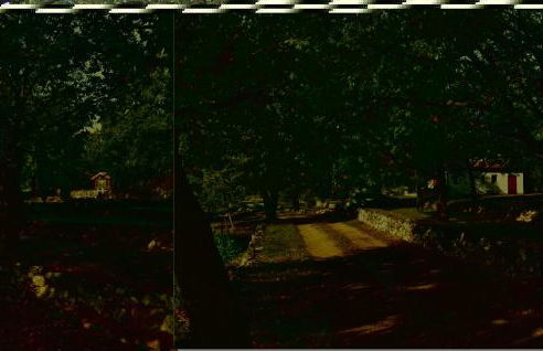 Amazing Home In St Cézaire Sur Siagne - Foto 15