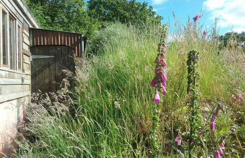 FoxesDen, Unique Eco Cabin, Dartmoor views - Foto 54