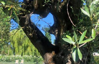 Agriturismo I Bosconi - Foto 4