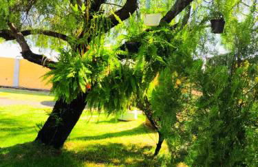 Recanto quatro estacoes - Foto 43