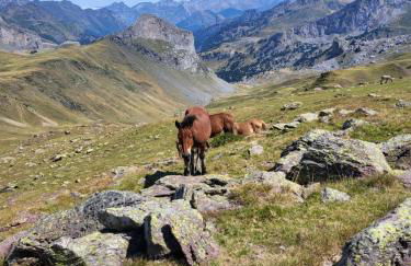 Mira Moleta bienvenidos a Canfranc - Photo 18