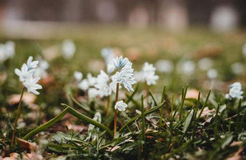 Ferienhof Rohrbachhof - Foto 15