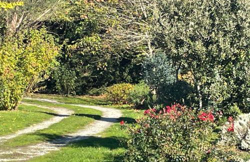 Borie Grande - Foto 24