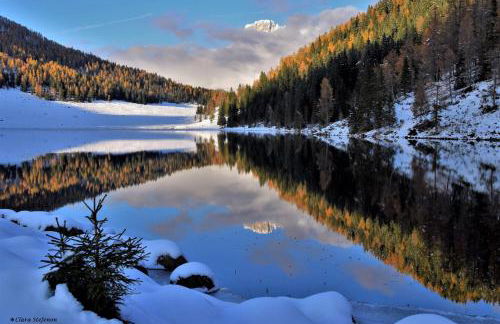 Lausen Vil - Foto 19