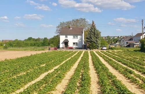 Haus im Grünen - Foto 38