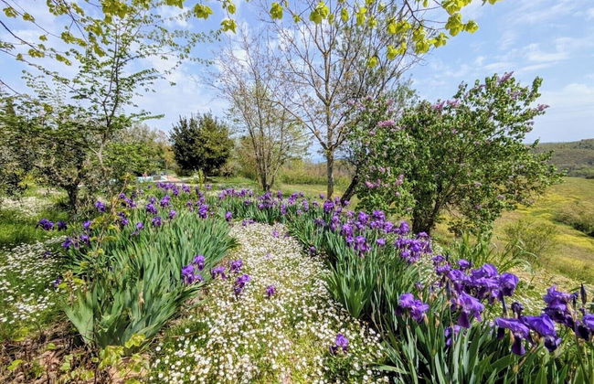 Agriturismo Casa Greppo - Il Melograno - Foto 1