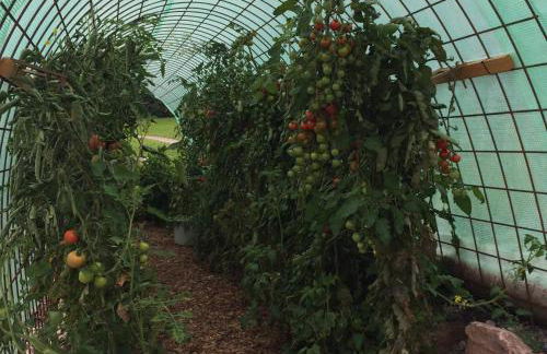 Blockhaus Almhütte Wiesenglück - Foto 6