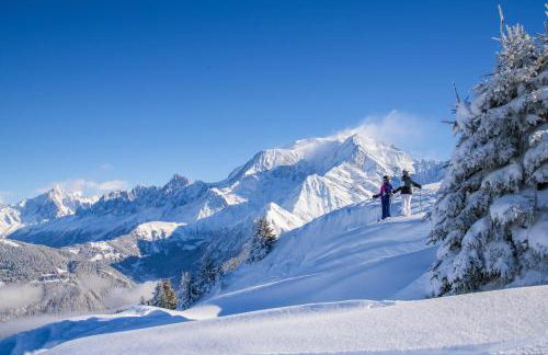 Appartement T2+cabine indépendante au départ des télécabines Saint-Gervais/Bettex/Mont d’Arbois - Foto 38