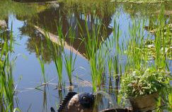 Haus Masur - Photo 76