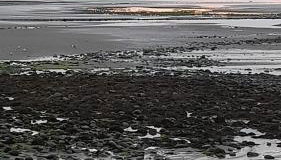 Ballykeel Farm, Mourne Mountains - Foto 3