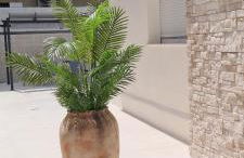 Ona Beach daimuz - Foto 18