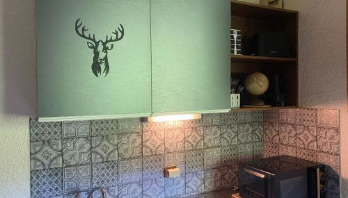 STUDIO 4 OU 6 personnes pieds des pistes et remontées mécaniques - Foto 3