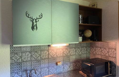 STUDIO 4 OU 6 personnes pieds des pistes et remontées mécaniques - Foto 3