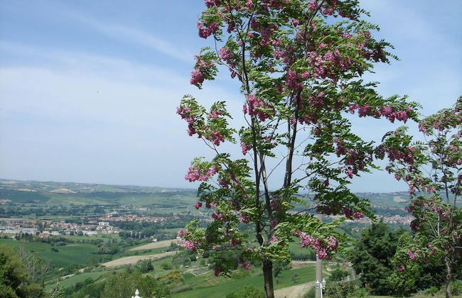 Panoramic Villa Italy Just few Minutes Drive From the Beach - Foto 41