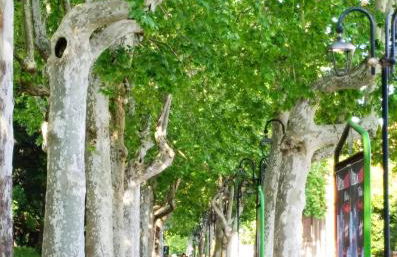 Appartamento Suite Antiche Terme - Zero Barriere - Foto 48