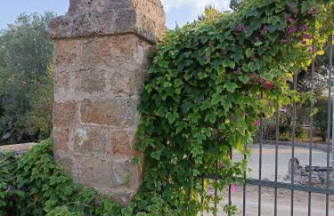 Masseria La Maestà - Ospitalità Rurale Famigliare - Foto 65