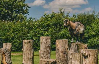 The Piggery - Photo 24