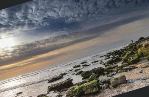 la Margaret Face mer - Foto 38