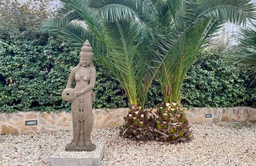 Can Mossènyer - Foto 8