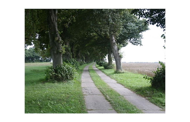 House Summerwind Comfortable Vacation Home - Foto 11