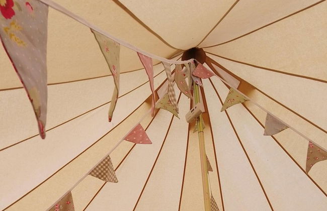 Chestnut 6m xl Bell Tent, log Burner, nr Whitby - Foto 8