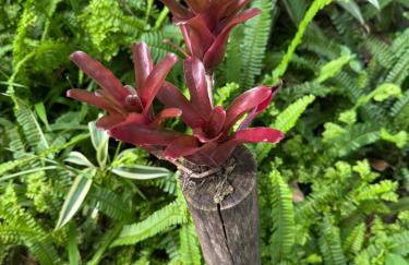 Maison in Mulungu - Foto 23