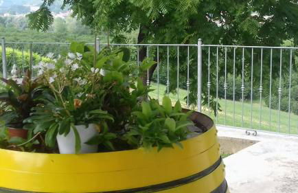 Cascina Longoria - Foto 36