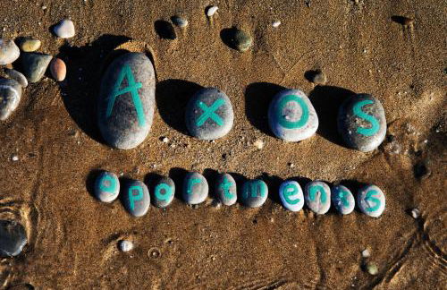 Axos Apartments - Photo 44