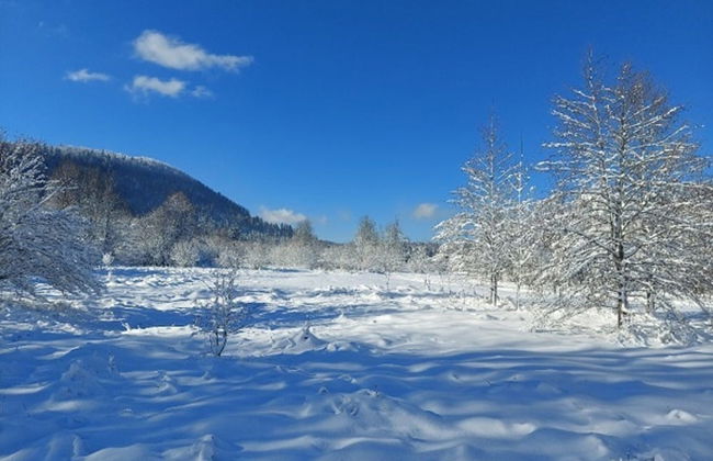 Detached House at 100m Distance of the Lake - Foto 32