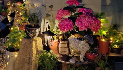 Luxury Shepherd's Hut - The Hyde - Foto 3