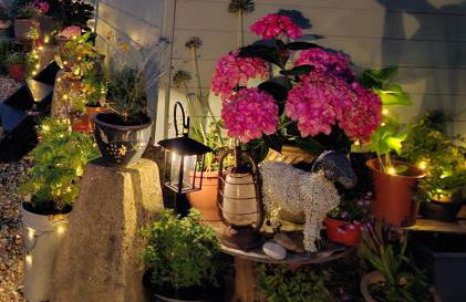 Luxury Shepherd's Hut - The Hyde - Photo 3