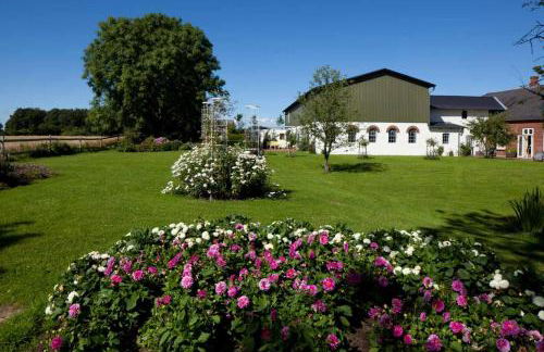 Kiekutsland - Foto 68