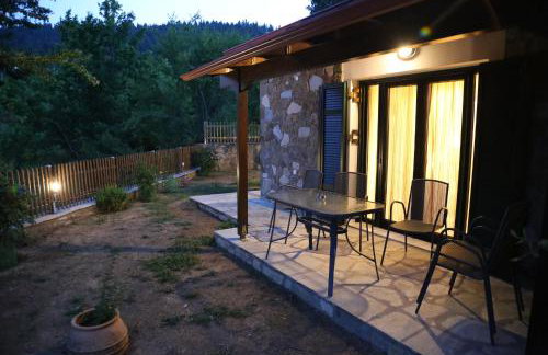 Boletus MushROOM - Foto 16