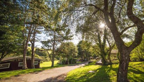Timber Hill Self Catering Cedar Lodges - Foto 4, Garden, Garden view