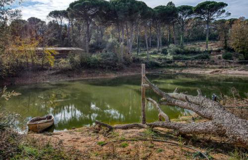 Can pauet - Photo 29