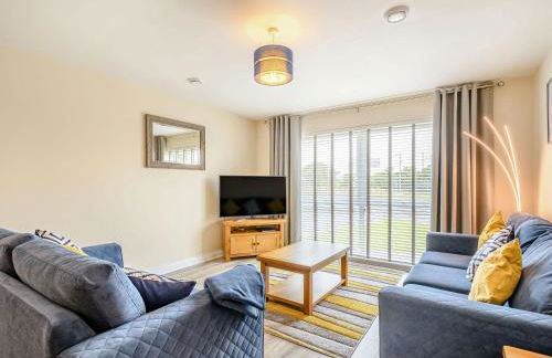 Oystercatcher - Foto 3