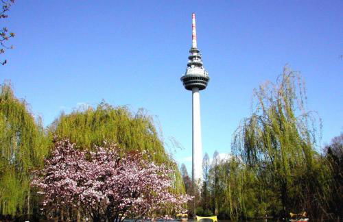 Zum Sterngässchen - Foto 77