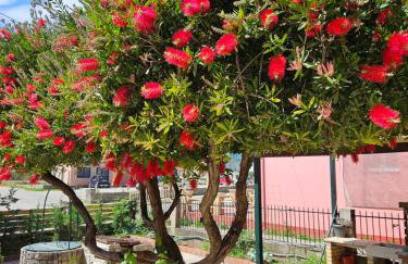 Lora Apartments & Studios with Balcony in Ipsos Corfu - Photo 29