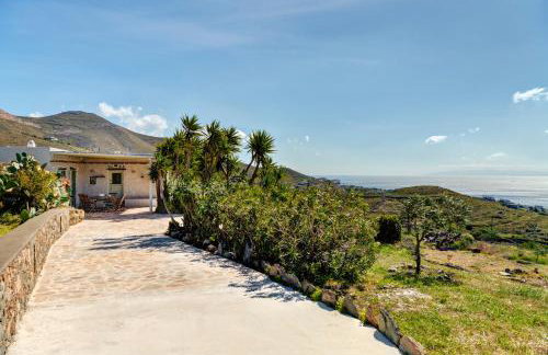 MEGAS GIALOS HARMONY - Foto 74