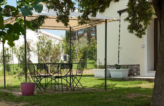 Artemisia negli ulivi B&B - Photo 28