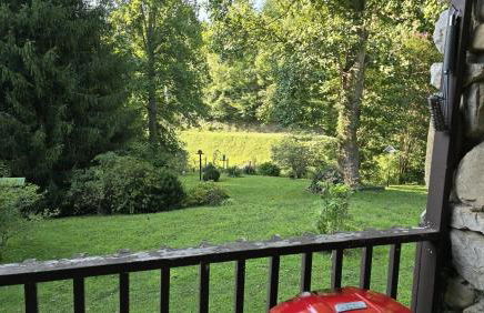 Yellow Creek Cabin - Foto 98