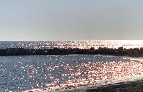 Apartamento Plumaria - Photo 47