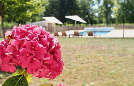 Domaine de Gorre - Foto 9