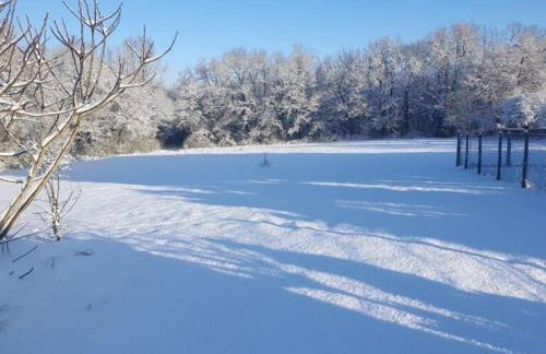 Maison de vacances spacieuse à la campagne avec jardin clos, WIFI, vélos gratuits et équipements bébé. - FR-1-653-139 - Foto 27