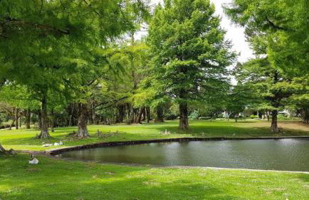 Espetacular Flat no Mountain Village - Foto 61