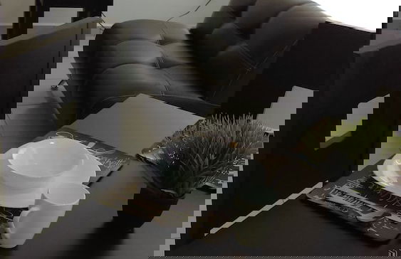 Loft Palo de Arco - Foto 16