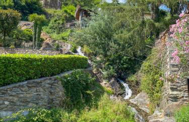 Lovely Cecilia - Foto 21